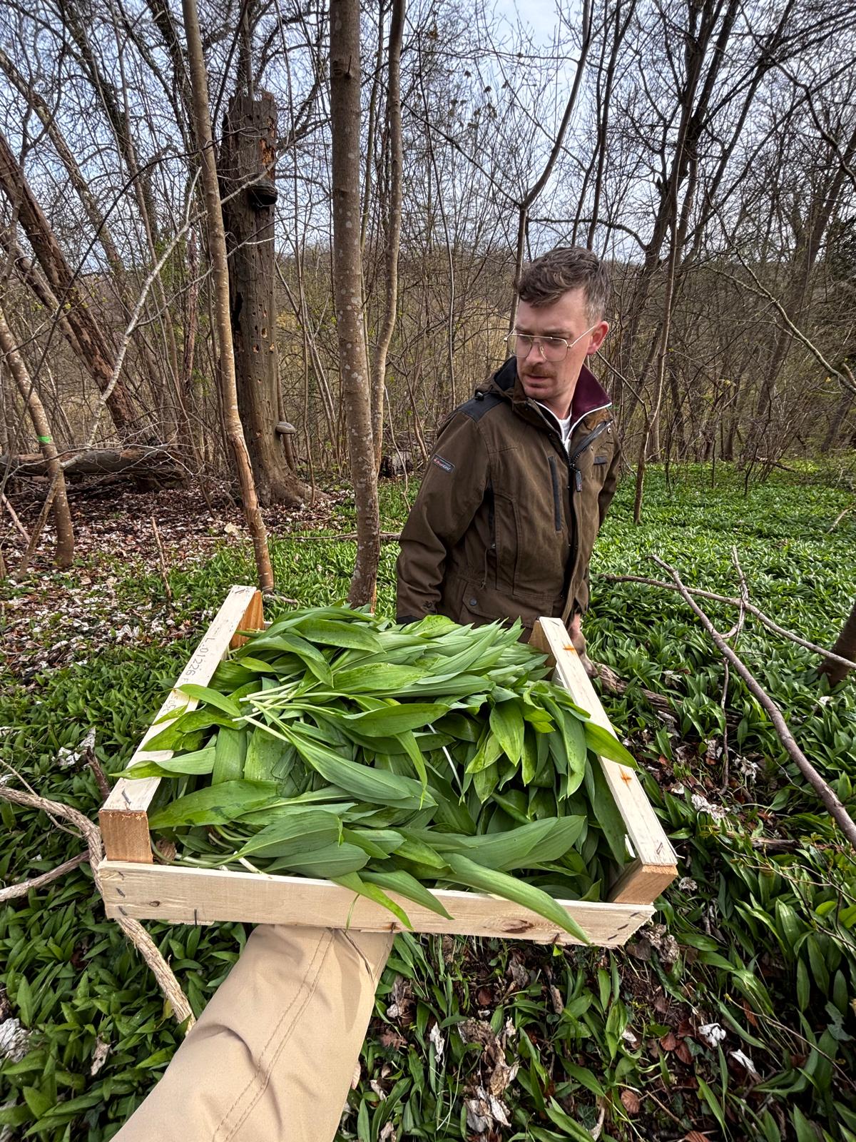 Sébastien, chef de La Cour Verte
